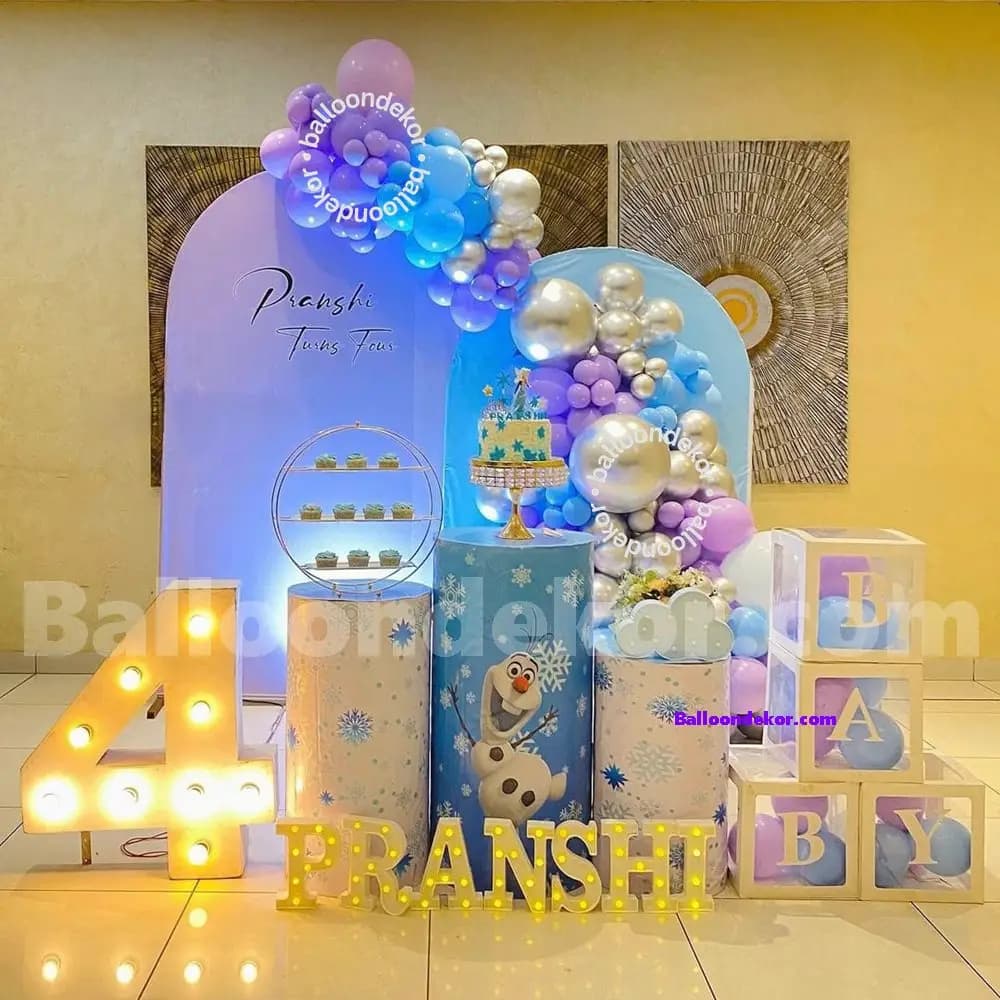 Frozen Theme Kids Birthday Setup